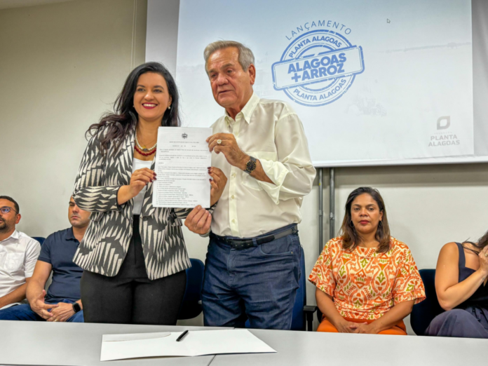 Produção de arroz em Alagoas pode crescer mais de 40% com investimentos do Governo