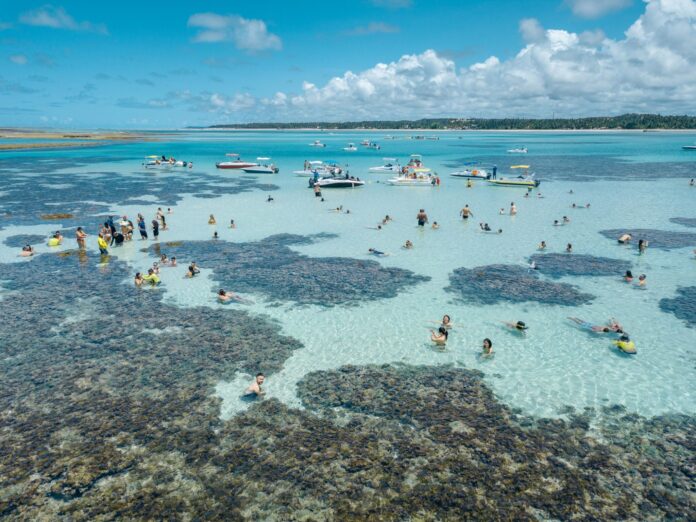 Mergulhe na beleza das piscinas naturais de Maceió!