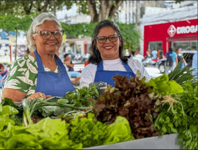 Circuito de Feiras movimenta Arapiraca com sabores, cultura e força da agricultura familiar