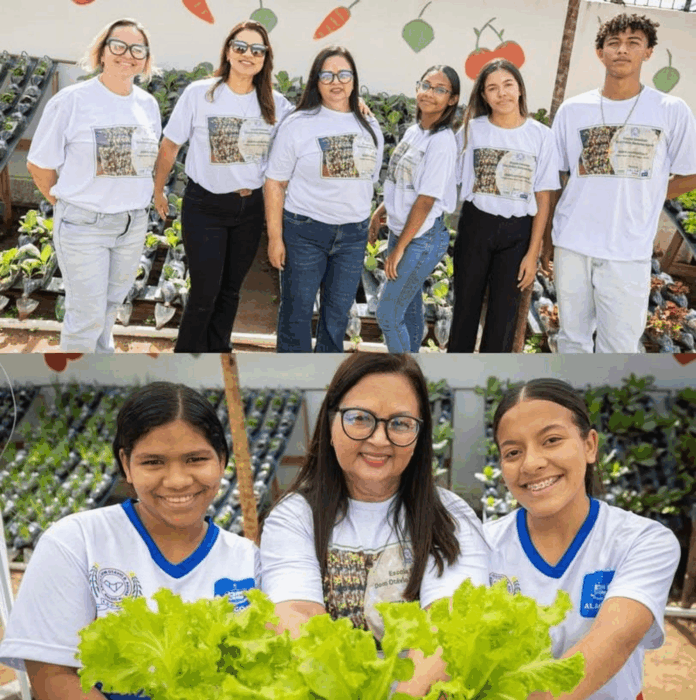 Startup alagoana implanta horta hidropônica automatizada em escola pública de Maceió