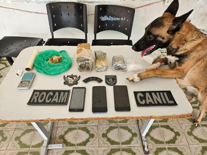 PM apreende drogas e prende suspeitos por tráfico em Maragogi e Arapiraca