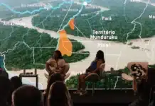 Mercúrio no corpo de gestantes e bebês Munduruku: média de 9,1 µg/g em mães, 5,8 µg/g em recém-nascidos, 97% e 90% acima do limite seguro