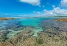 São Miguel dos Milagres é eleita uma das 100 melhores praias do mundo, confira posição no ranking, praias brasileiras no top 100 e impacto no turismo de Alagoas