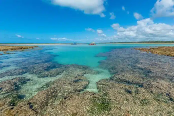 São Miguel dos Milagres é eleita uma das 100 melhores praias do mundo, confira posição no ranking, praias brasileiras no top 100 e impacto no turismo de Alagoas