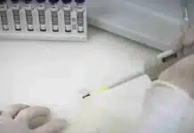 SP investiga caso suspeito de ebola em brasileira vinda do Congo, paciente isolada no Emílio Ribas e exames no Instituto Adolfo Lutz