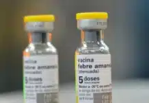 Febre amarela em Lagoinha, interior de SP: caso confirmado reacende alerta, reforça vacinação gratuita do SUS e vigilância por mortes de macacos