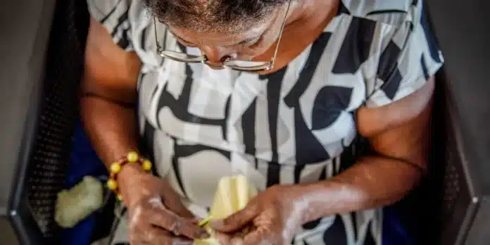 Programa de Atenção Domiciliar Padi Brasil amplia cuidado aos idosos do SUS, leva serviços ao domicílio, integra caderneta digital e capacita cuidadores