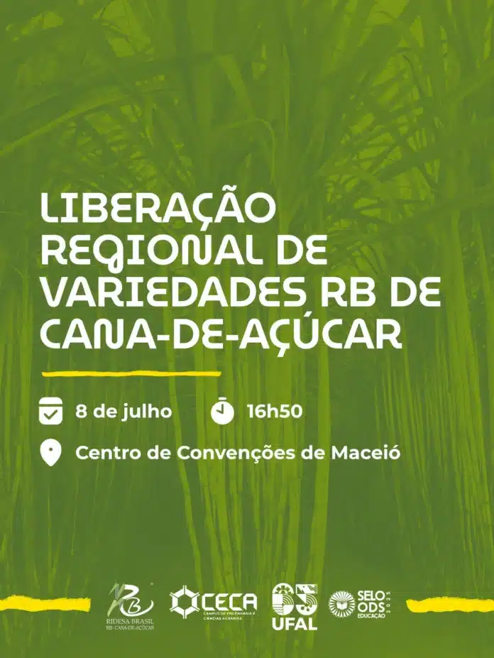 Ufal lança novas variedades de cana-de-açúcar para o setor sucroenergético, RB991532, RB0764 e RB07814 prometem maior produtividade e resistência