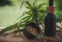 Projeto Noronha usa canabidiol em Fernando de Noronha para apoiar mães e crianças atípicas, com CBD, apoio psicológico e mutirões de saúde