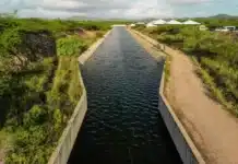 Perímetro Irrigado Gavião e Canal do Sertão: Seagri detalha edital, oportunidades, visita técnica e potencial produtivo para agricultura irrigada em Alagoas