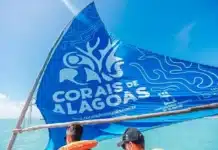 Projeto Corais de Alagoas reconhecido pela Unesco como Projeto da Década do Oceano, selo amplia turismo regenerativo e parcerias científicas