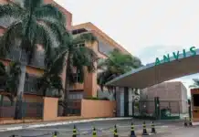 Anvisa suspende lotes de creatina e proíbe suplemento por risco à saúde, veja lotes afetados, orientações para consumidores e como checar regularidade