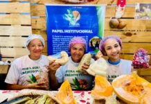 Seagri abre inscrições gratuitas para a 3ª Feira Alagoana da Agricultura Familiar em Maceió, cadastre agricultores, cooperativas e gere renda local