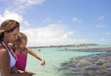 Férias de julho em Maceió: Booking.com mostra cidade entre os destinos mais buscados por famílias, Semtur destaca Nova Orla, Roda Maceió e investimentos